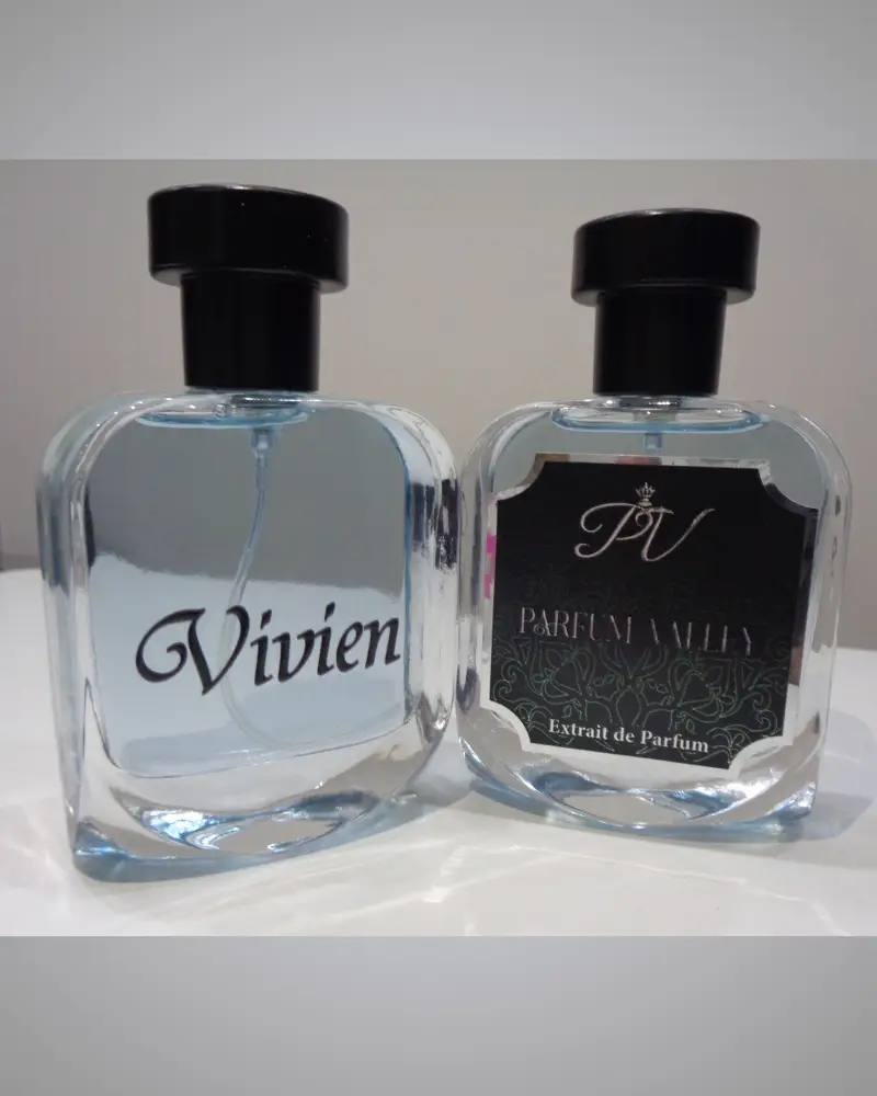Vivien – Chypre Fruity Woody Spicy Perfume for Men