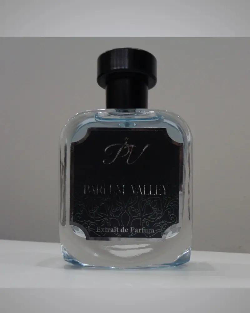 Vivien – Chypre Fruity Woody Spicy Perfume for Men